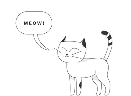 cat-meow.jpg